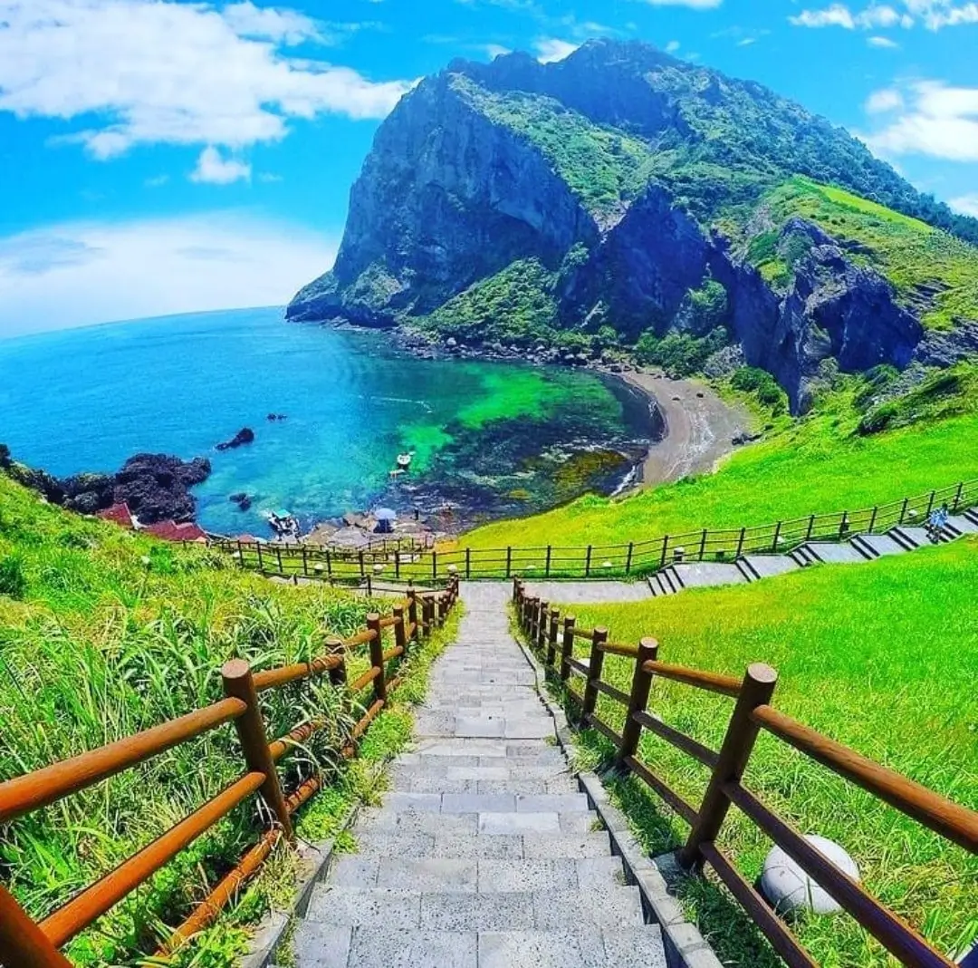 Students learning Korean on Jeju Island with ocean view and UNESCO landscapes
